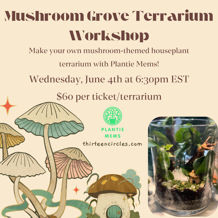 6/4 Wednesday 6:30pm- Mushroom Grove Terrarium Workshop with Plantie Mems