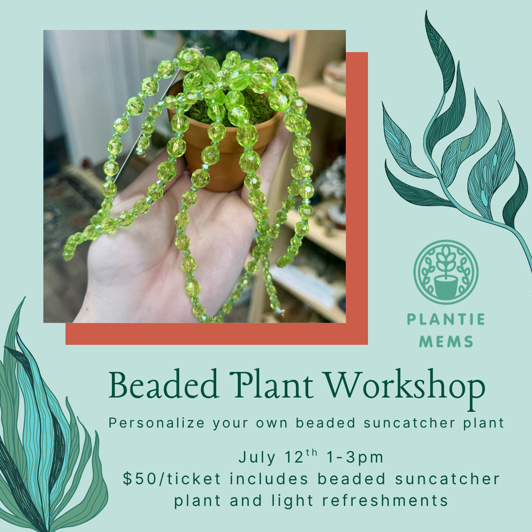 7/12 Sunday 1-3pm- Beaded Plant Workshop with Plantie Mems