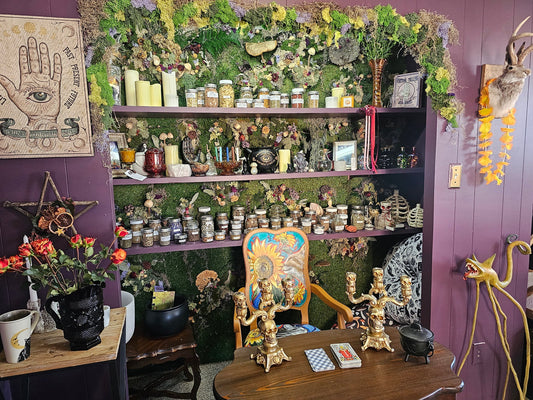 20 Minute Tarot/Palm Reading  - With Lily (RECOMMENDED FOR REPEAT VISIT)